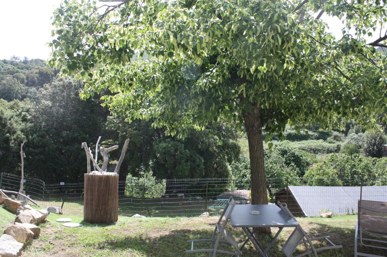 A Cardiccia Loc Saisonnières Piana Appartement *