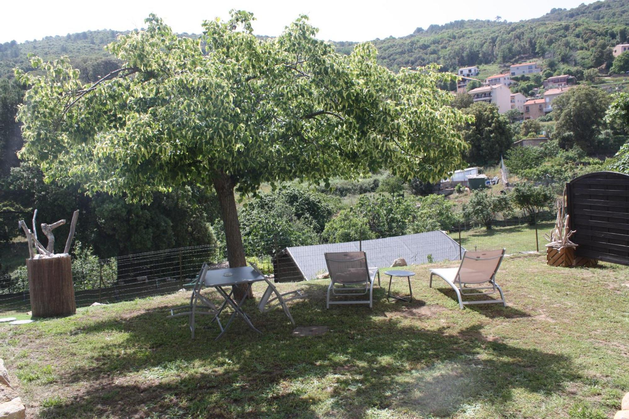 Apartment A Cardiccia Loc Saisonnieres Piana