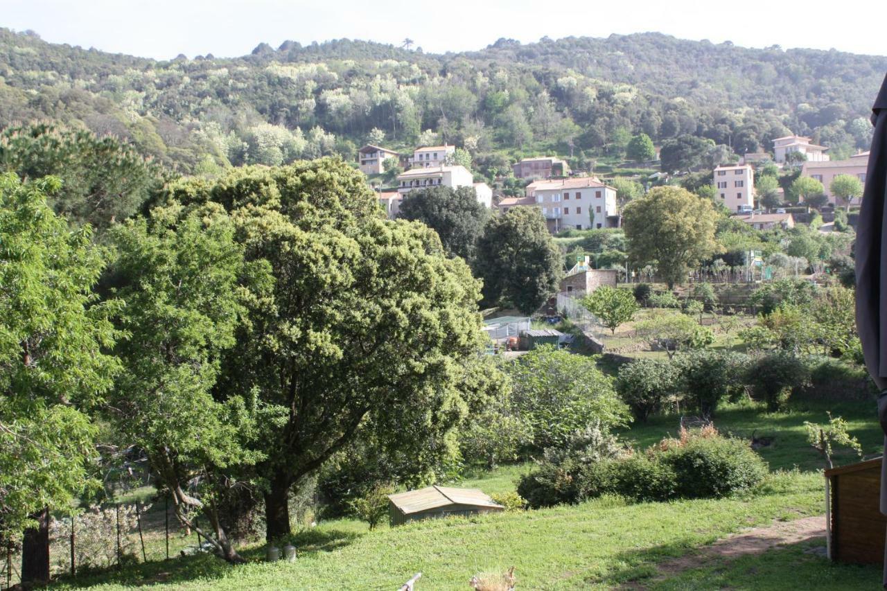 A Cardiccia Loc Saisonnières Piana Appartement